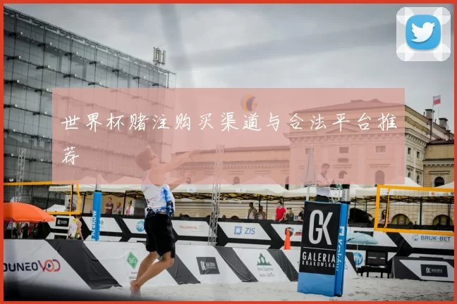 世界杯赌注购买渠道与合法平台推荐