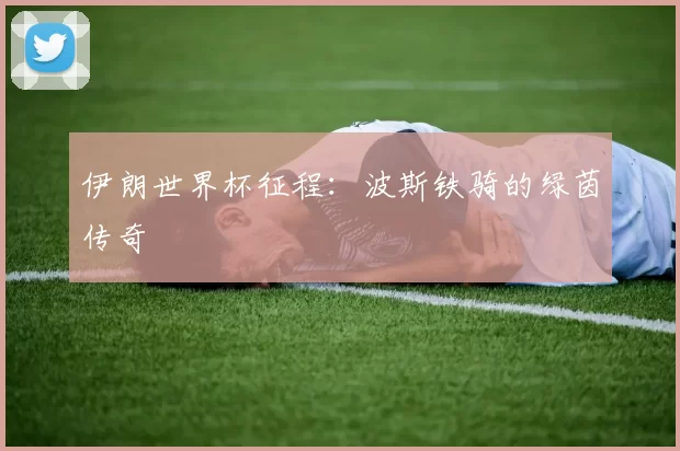 伊朗世界杯征程：波斯铁骑的绿茵传奇
