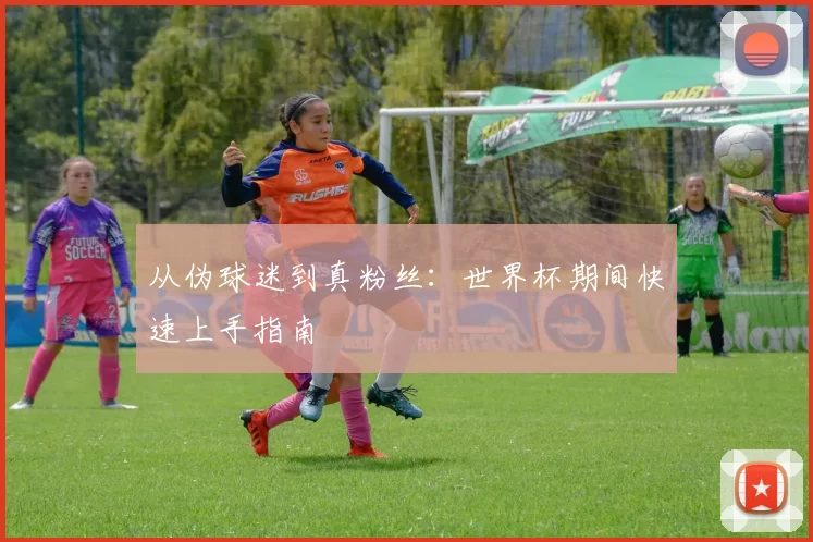 从伪球迷到真粉丝：世界杯期间快速上手指南