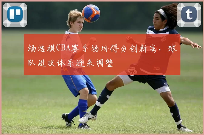 杨浩祺CBA赛季场均得分创新高,球队进攻体系迎来调整