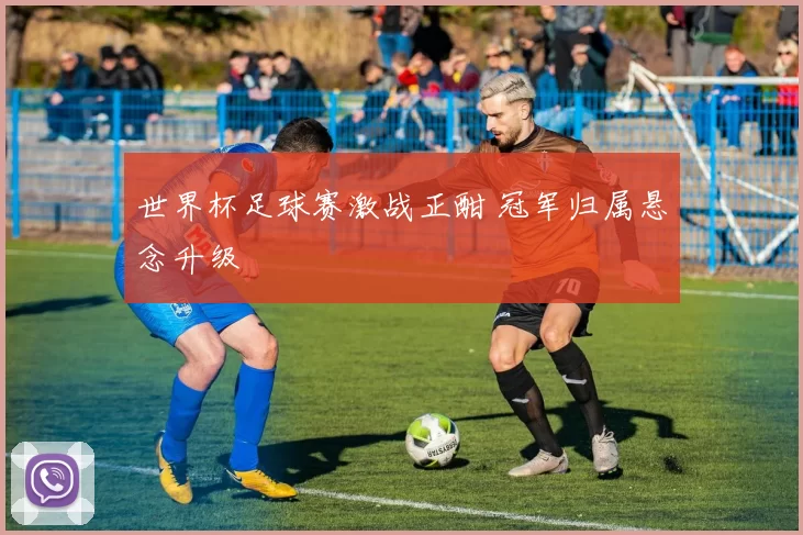 世界杯足球赛激战正酣 冠军归属悬念升级