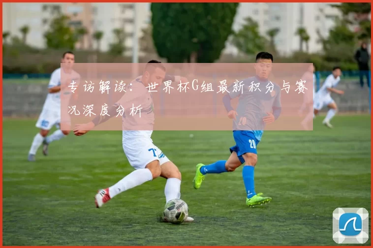 专访解读:世界杯G组最新积分与赛况深度分析