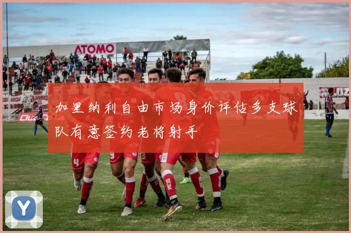 加里纳利自由市场身价评估多支球队有意签约老将射手