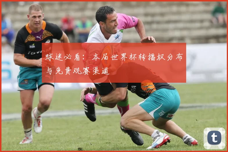 球迷必看:本届世界杯转播权分布与免费观赛渠道