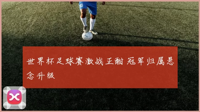 世界杯足球赛激战正酣 冠军归属悬念升级