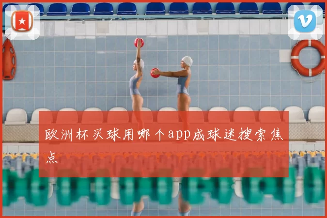 欧洲杯买球用哪个app成球迷搜索焦点