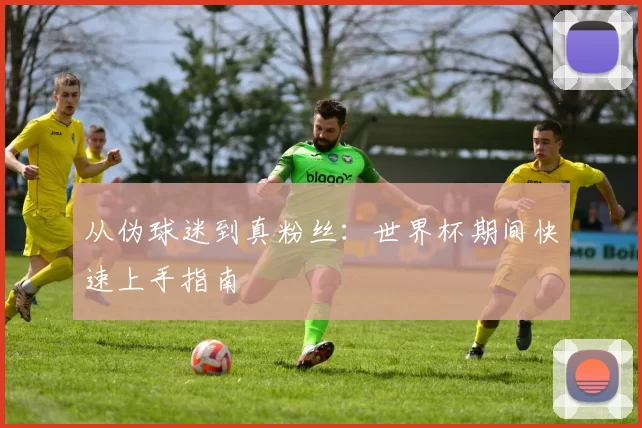 从伪球迷到真粉丝：世界杯期间快速上手指南