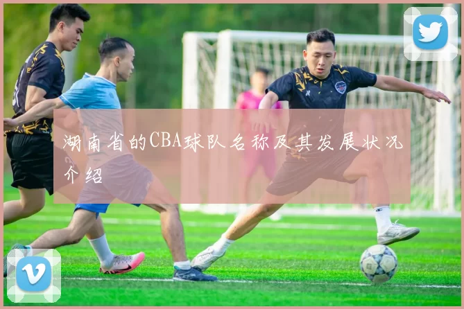 湖南省的CBA球队名称及其发展状况介绍