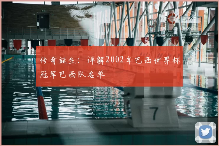 传奇诞生:详解2002年巴西世界杯冠军巴西队名单