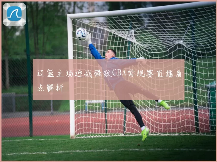 辽篮主场迎战强敌CBA常规赛直播看点解析