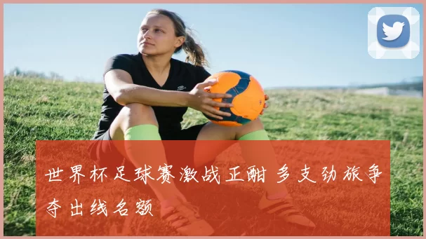 世界杯足球赛激战正酣 多支劲旅争夺出线名额
