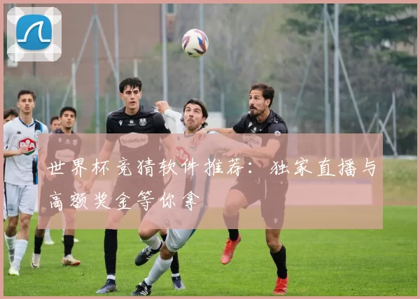 世界杯竞猜软件推荐:独家直播与高额奖金等你拿