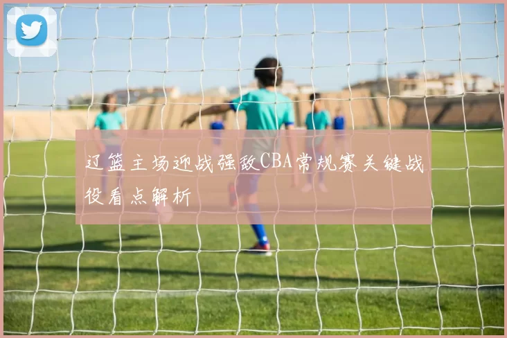 辽篮主场迎战强敌CBA常规赛关键战役看点解析