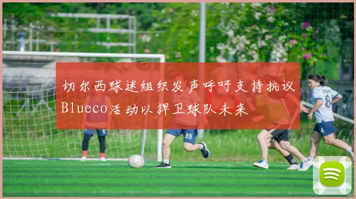 切尔西球迷组织发声呼吁支持抗议Blueco活动以捍卫球队未来