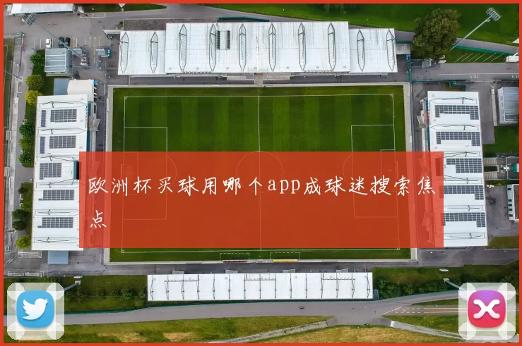 欧洲杯买球用哪个app成球迷搜索焦点