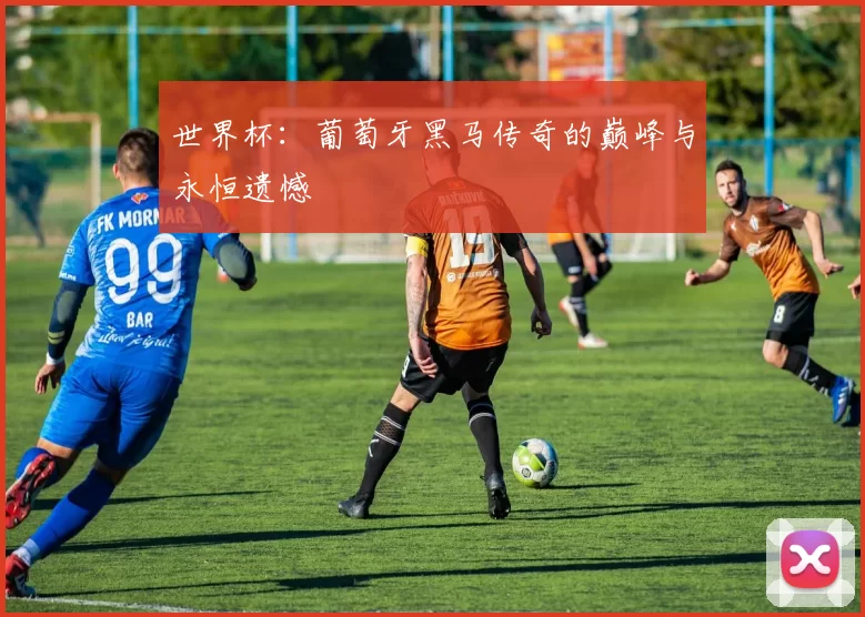 世界杯：葡萄牙黑马传奇的巅峰与永恒遗憾