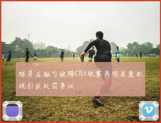 球员后脑勺被踢CBA联赛再现恶意犯规引发处罚争议