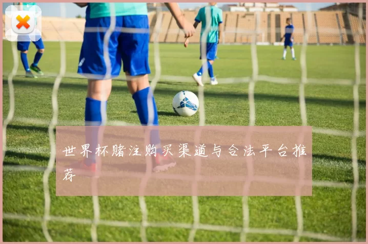 世界杯赌注购买渠道与合法平台推荐